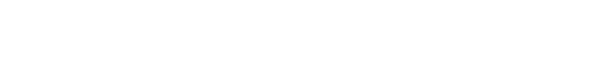 CSS logo Reverse